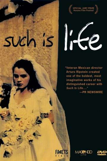 Such is Life Poster