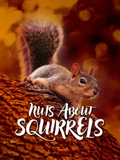 Nuts About Squirrels