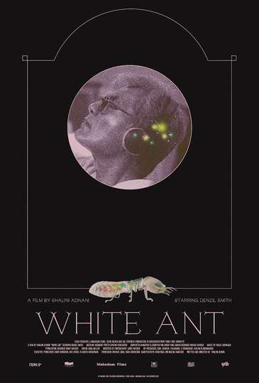 White Ant Poster