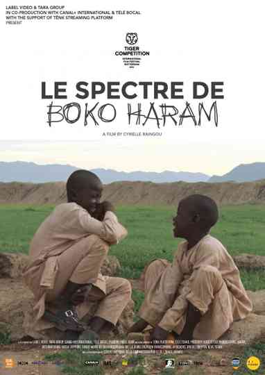 The Spectre of Boko Haram