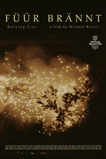 Burning Fire Poster