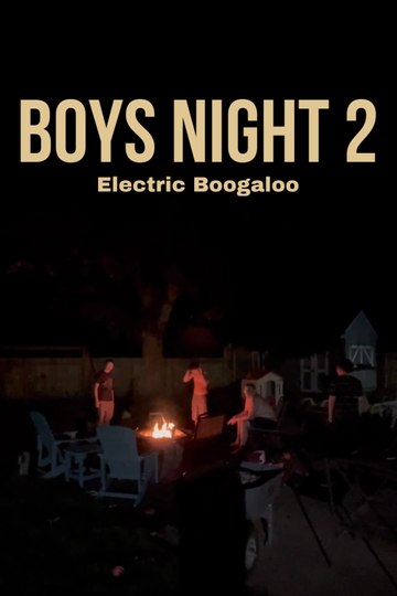 Boys Night II: Electric Boogaloo Poster