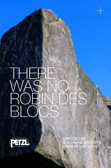 There Was No Robin des Blocs Poster