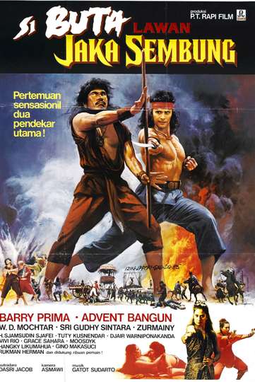 The Warrior and the Blind Swordsman Poster