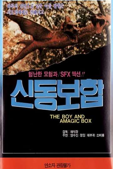 The Boy and a Magic Box Poster
