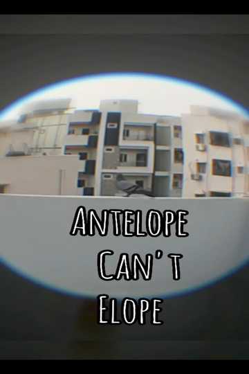 Antelope cant Elope