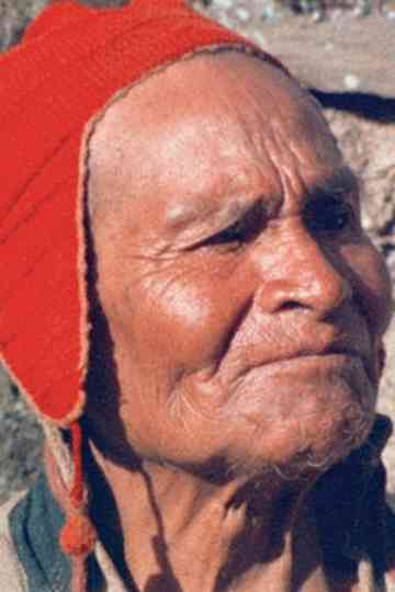 Spirit Possession of Alejandro Mamani Poster