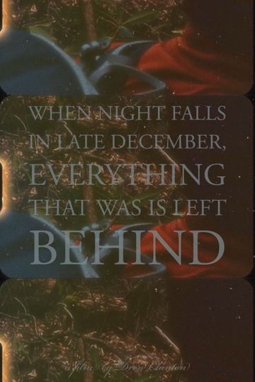 When Night Falls in Late December Everything That Was is Left Behind