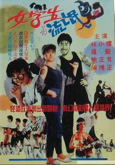 Kung Fu Student Poster