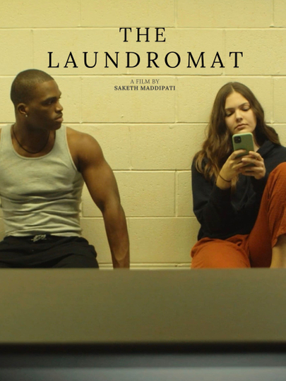 The Laundromat Poster