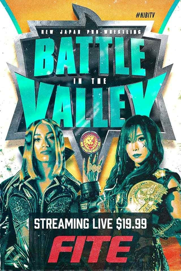 NJPW: Battle In The Valley Poster