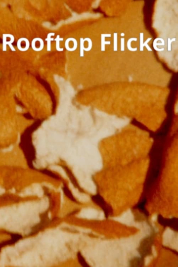 Rooftop Flicker Poster