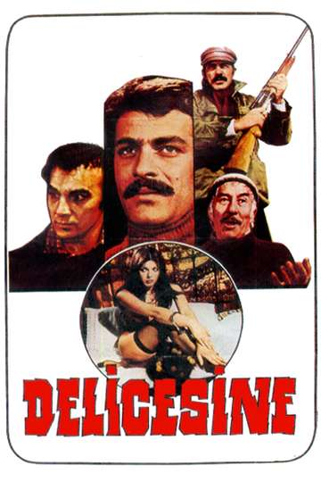 Delicesine Poster