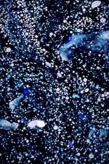 Cosmic Odyssey