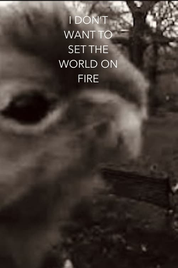 I Don't Want To Set The World On Fire Poster