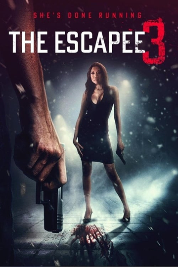 The Escapee 3: The Final Escape Poster