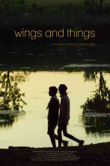 Wings and Things