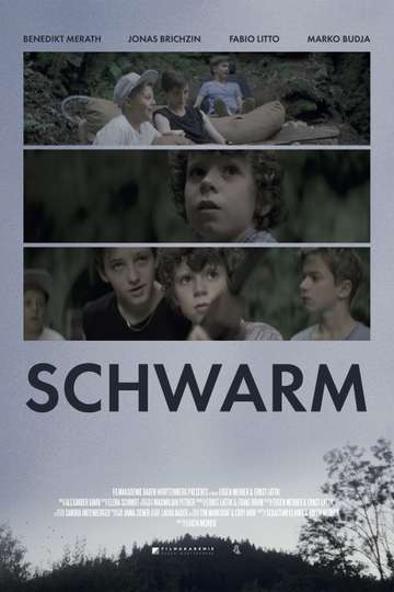 Swarm Poster