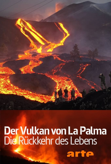 Der Vulkan von La Palma - Die Rückkehr des Lebens