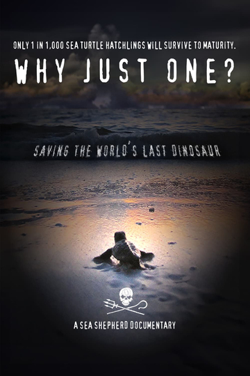 Why Just One? Poster