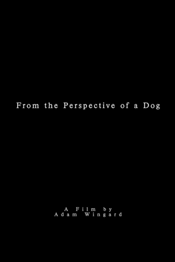 From the Perspective of a Dog