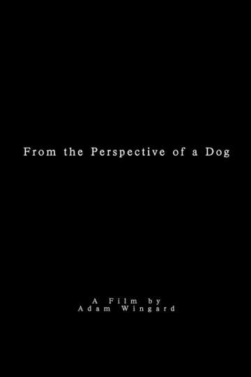 From the Perspective of a Dog