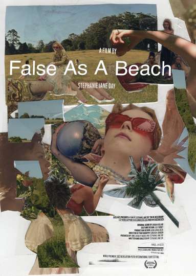 False As A Beach Poster