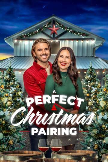 A Perfect Christmas Pairing Poster