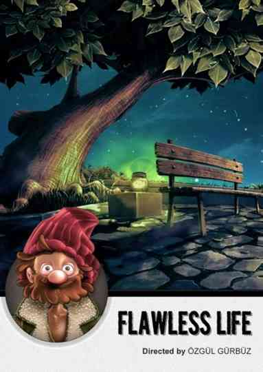 Flawless Life poster