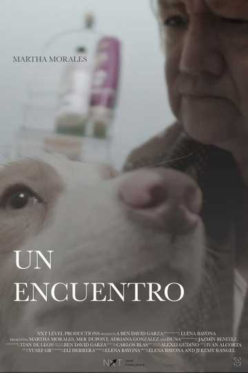 Un Encuentro Poster