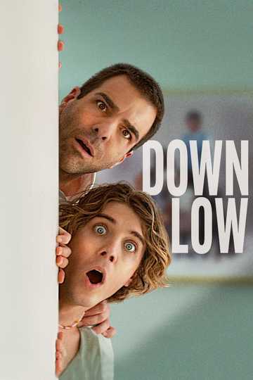 Down Low Poster