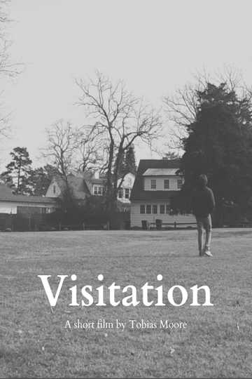 Visitation Poster