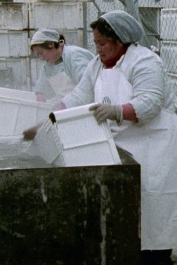 Women Workers in Greenland