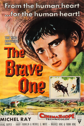 The Brave One Poster