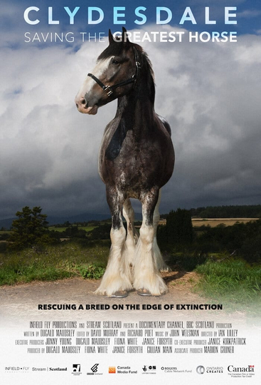 Clydesdale: Saving the Greatest Horse Poster