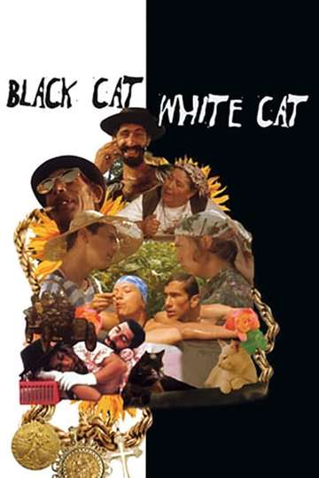 Black Cat, White Cat Poster