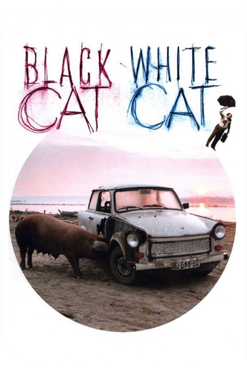 Black Cat, White Cat Poster