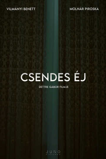 Csendes éj