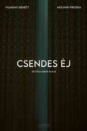 Csendes éj