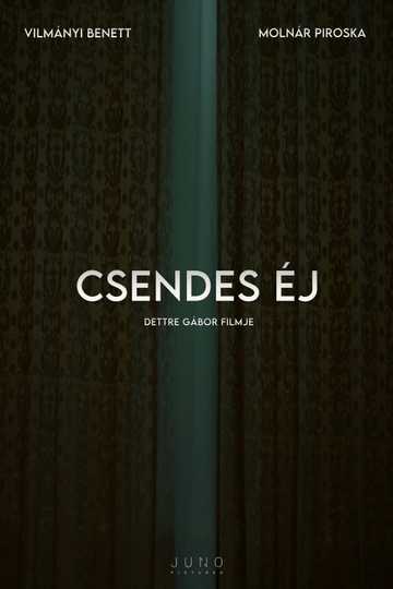 Csendes éj