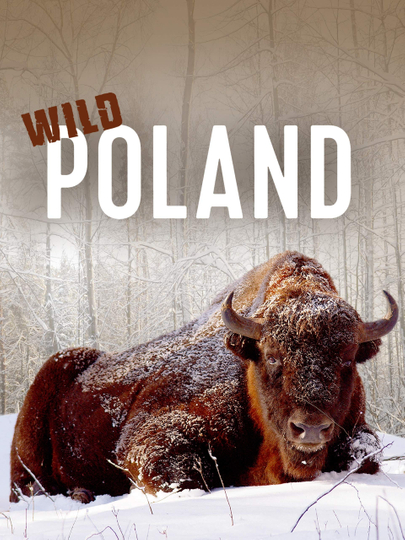 Wild Poland Poster