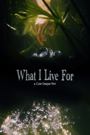 What I Live For Poster