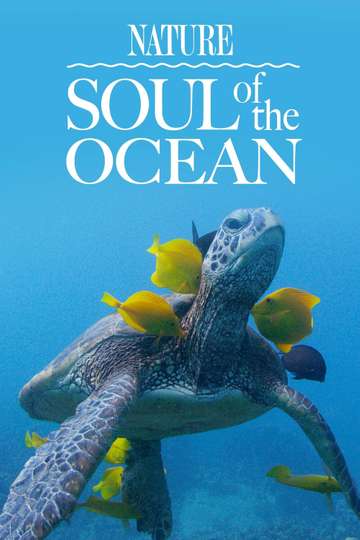 Soul of the Ocean Poster
