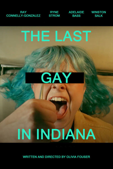 The Last Gay in Indiana Poster