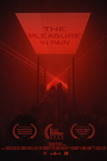 The Pleasure in Pain Poster