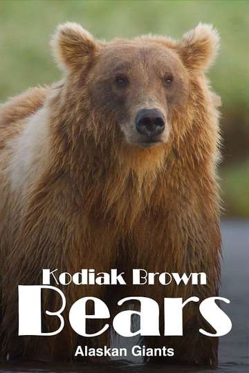Alaska's Giant Bears Poster