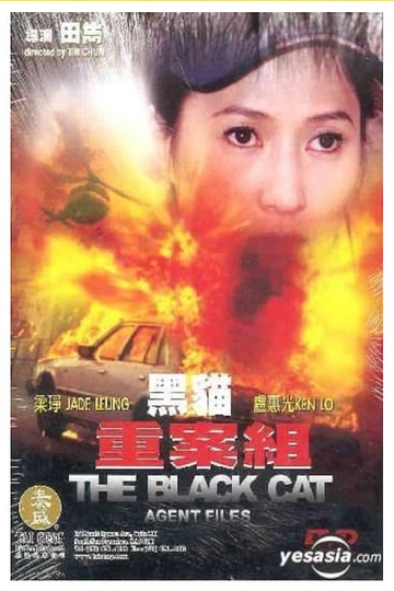 The Black Cat Agent Files Poster