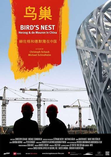 Birds Nest  Herzog  de Meuron in China Poster