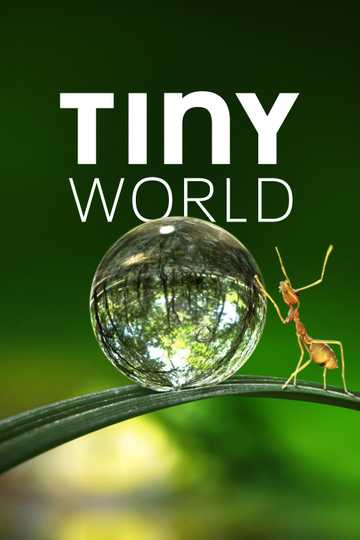 Tiny World Poster