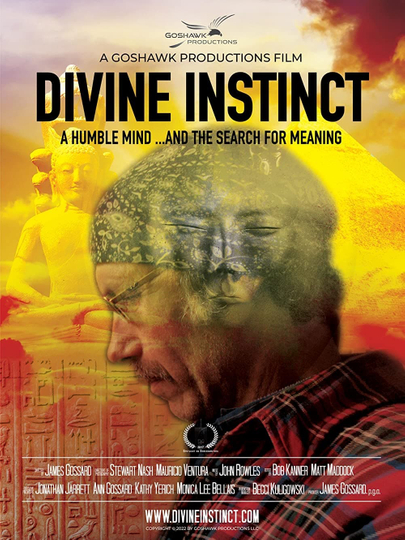 Divine Instinct